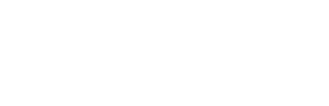 SEGURO.png